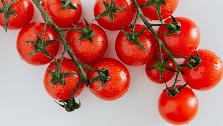 Tomates grandes y jugosos