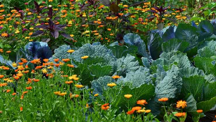 Jardinería