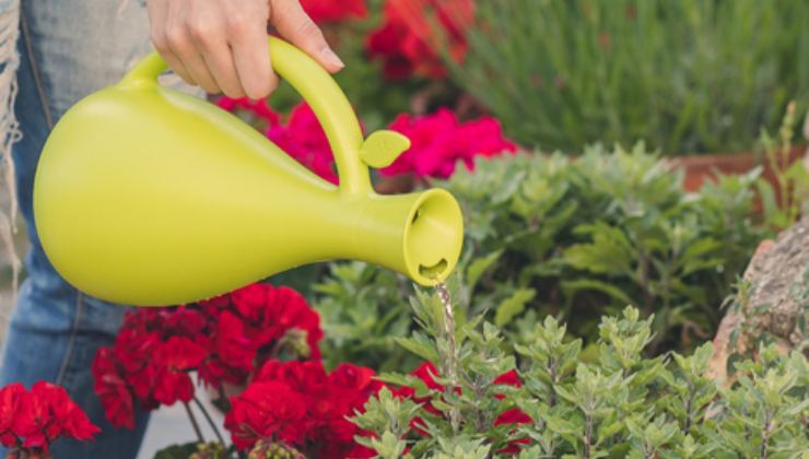 Cómo activar la floración