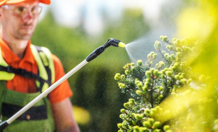Fertilizante vegetal 