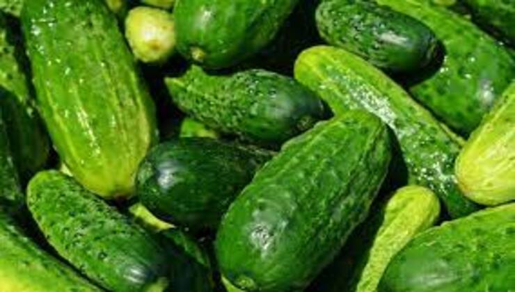 Pepinos