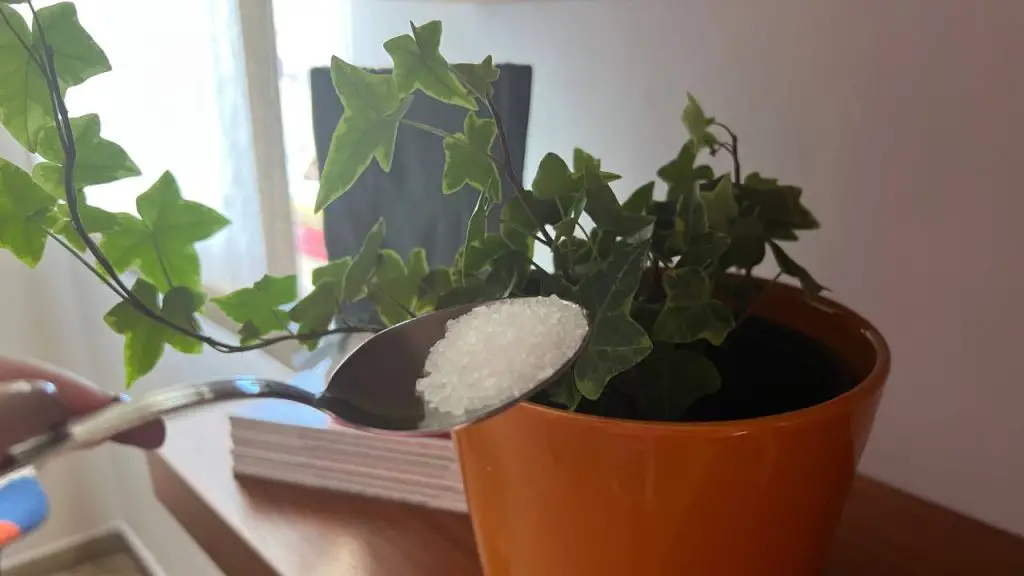 aFertilizante orgánico ultra fuerte, mantendrá todas sus plantas sanas durante 12 meses – Mis Consejos Jardinería