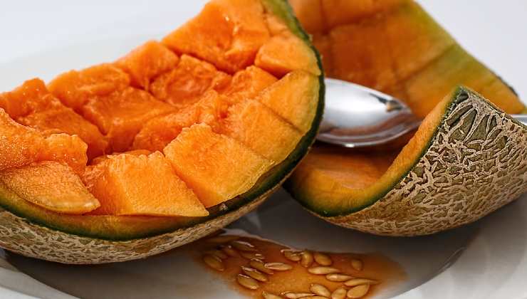 Ingrediente de cáscara de melón