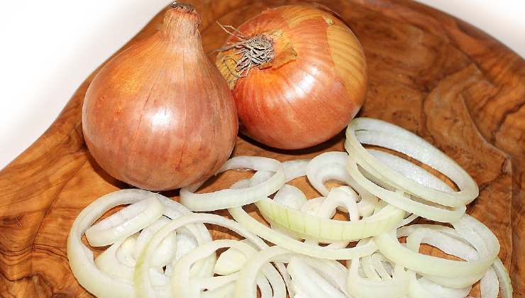 Remedio de cebolla para plantas 