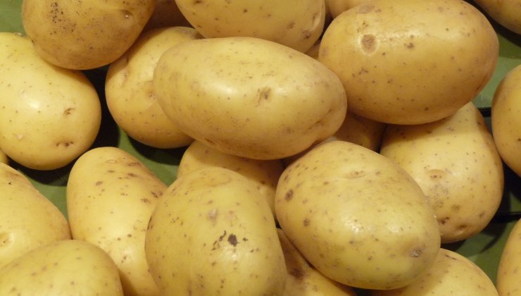 Papas