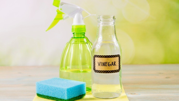 Herbicida de vinagre blanco