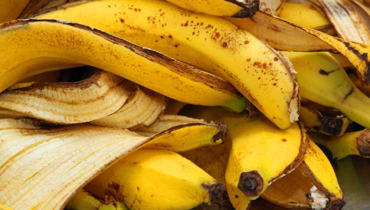 Cáscara de plátano para tener flores todo el año