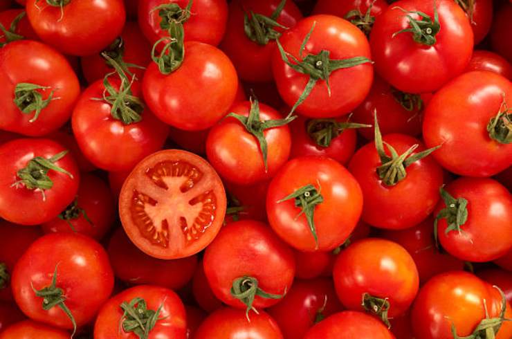 Tomates
