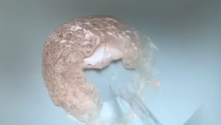 Fertilizante natural con levadura y bicarbonato de sodio