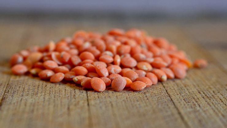 Lentejas de ingredientes potentes 