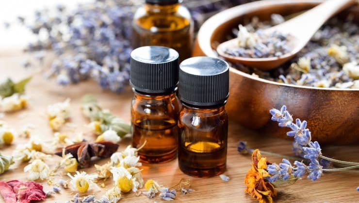 Aceites esenciales contra plagas de plantas
