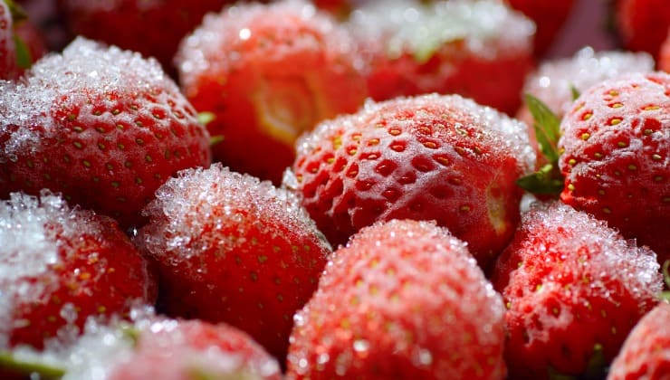 fresas congeladas