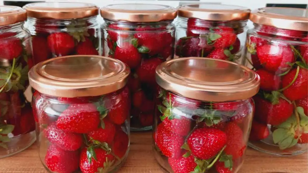 El truco del agricultor para mantener las fresas frescas durante 2 años completos – Mis Consejos Jardinería