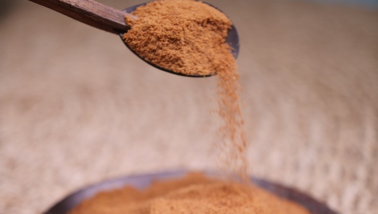 canela para plantas secas