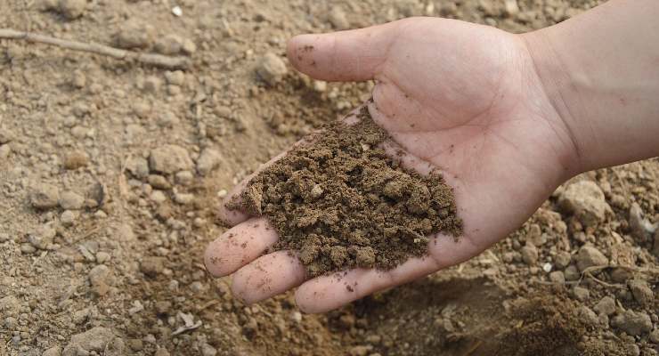 Fertilizante orgánico