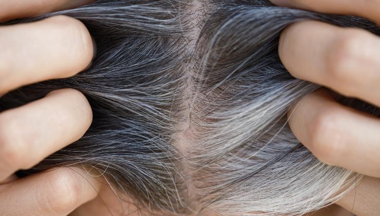 adios canas
