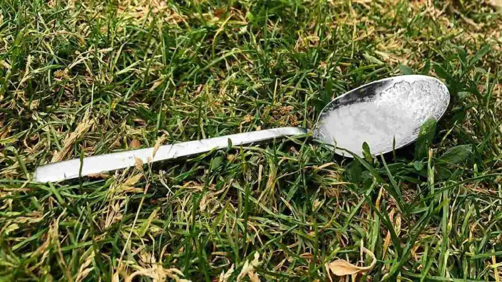 Una cucharada de azúcar en la huerta y nunca dejarás de hacerlo: el motivo – Mis Consejos Jardinería