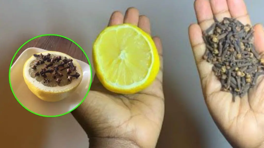 El TRUCO del limón y el clavo: ¡juntos te solucionan este problema! – Mis Consejos Jardinería
