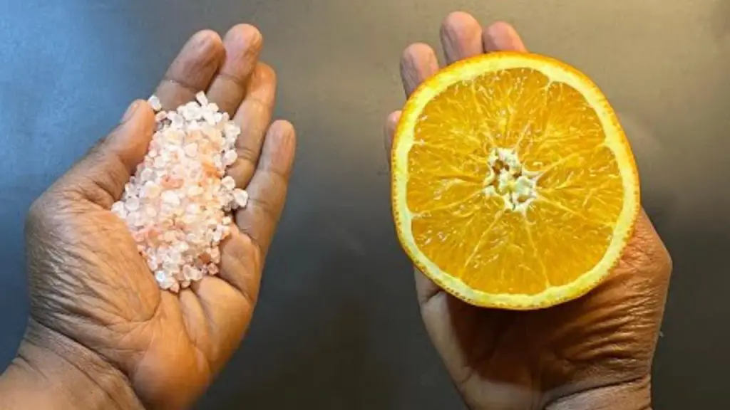 Combina estos 2 ingredientes, juntos valen oro en la casa pero nadie lo sabe – Mis Consejos Jardinería