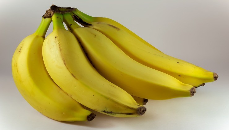 cáscaras de bananas