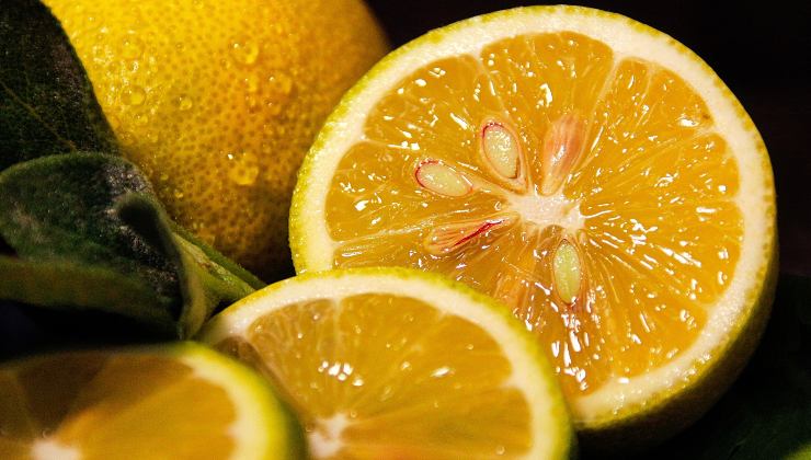 aquí se explica cómo plantar semillas de limón