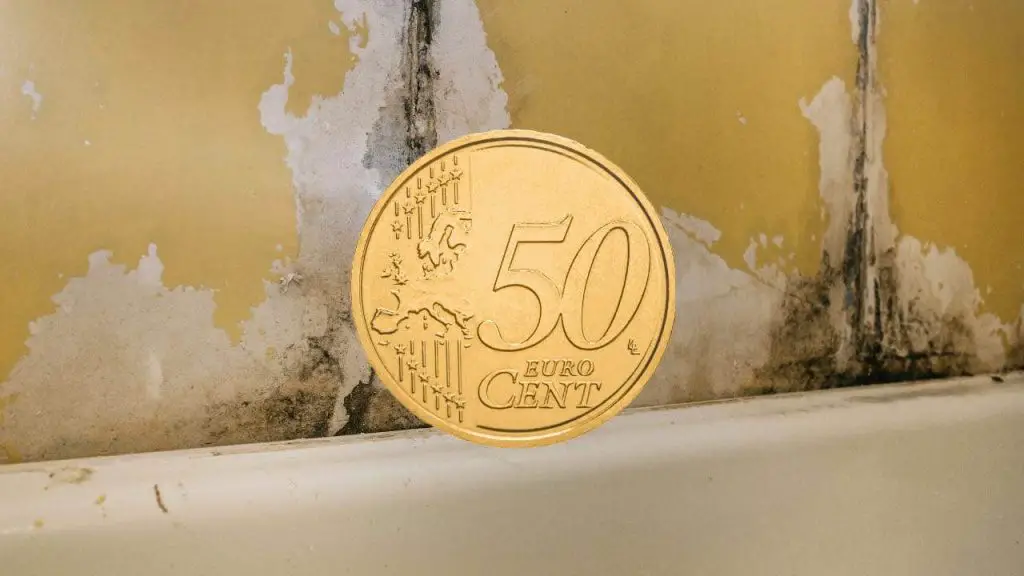 Adiós moho blanco y negro con 50 centavos: surge el antiguo remedio de las abuelas – Mis Consejos Jardinería