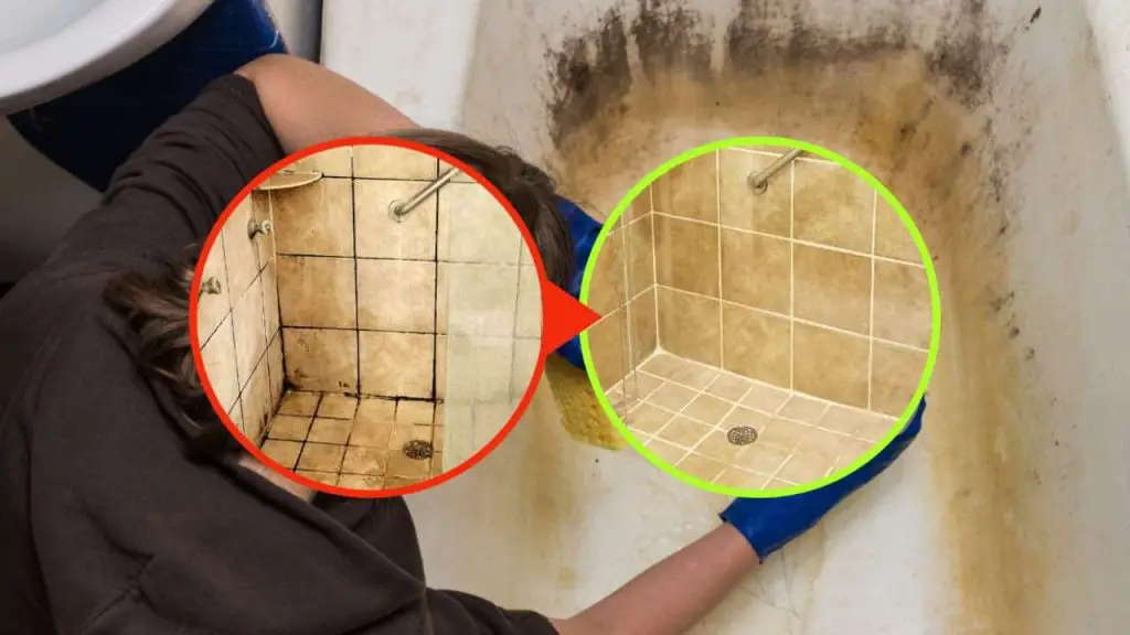 Moho en el baño, cómo deshacerse de él de forma rápida y eficaz: 1 ingrediente es suficiente – Mis Consejos Jardinería
