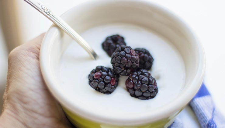 diferencia entre yogur y crema de yogur