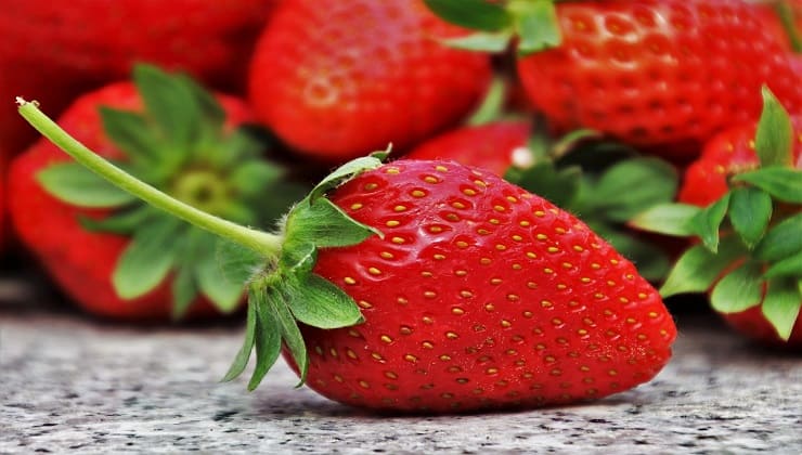 Cómo cultivar fresas