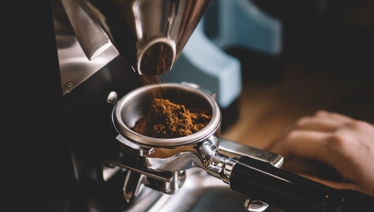 Colocación de café para mantener alejado al insecto.