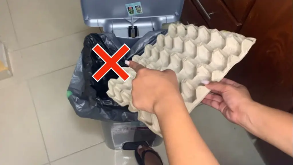 No volverás a tirar cartones de huevos después de descubrir lo preciosos que son en casa. – Mis Consejos Jardinería