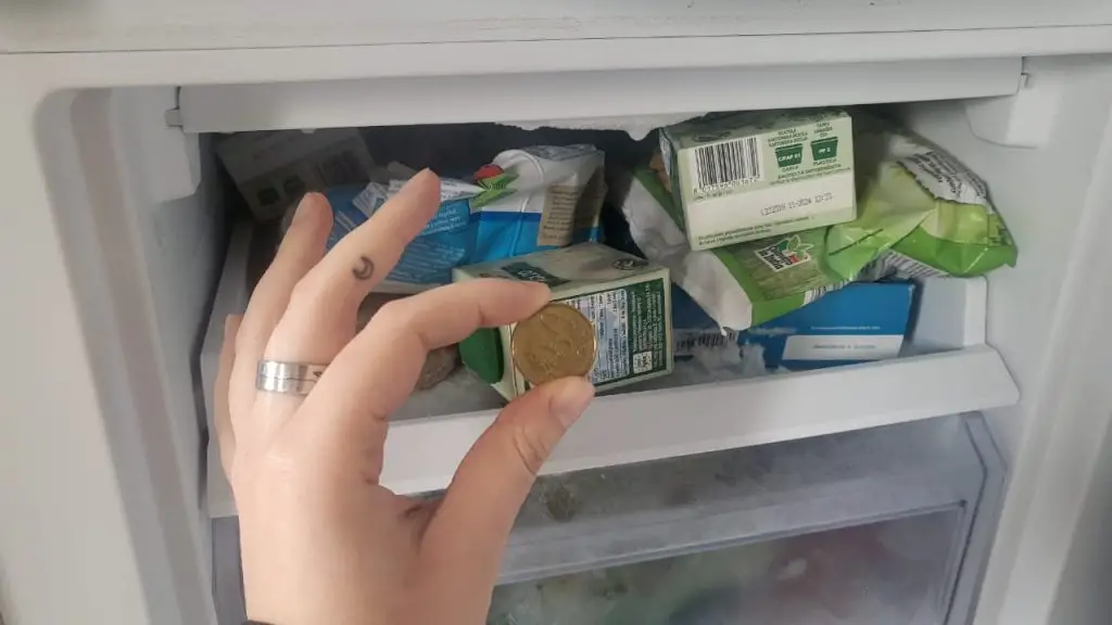 Por qué poner una moneda de diez centavos en el congelador antes de ir a la cama: es esencial – Mis Consejos Jardinería