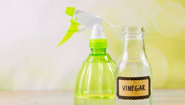 vinagre para persianas