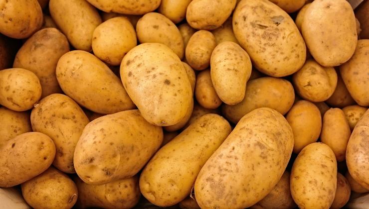 papas
