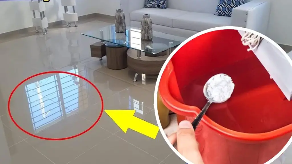 Piso muy brillante, también lo usan en hoteles de lujo: puedes mirarte en el espejo – Mis Consejos Jardinería