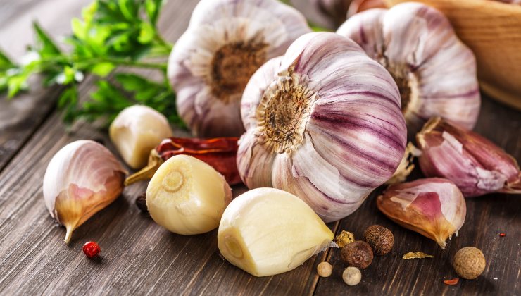 Ajo para el cuidado de las orquídeas