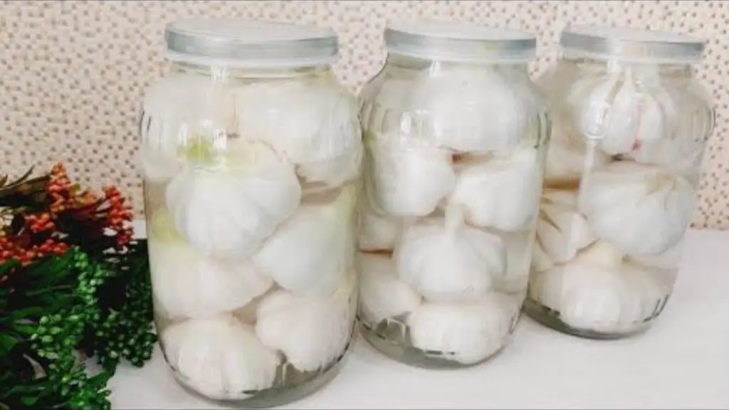 Ajo en escabeche: si agrega esto, no huele después de comerlo – Mis Consejos Jardinería