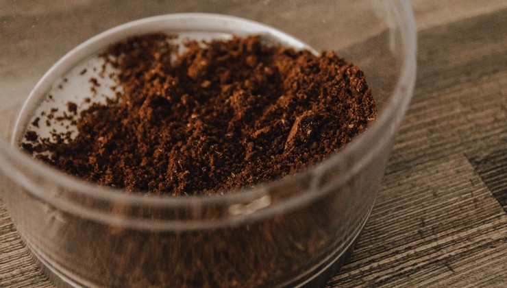 Café molido para abono natural