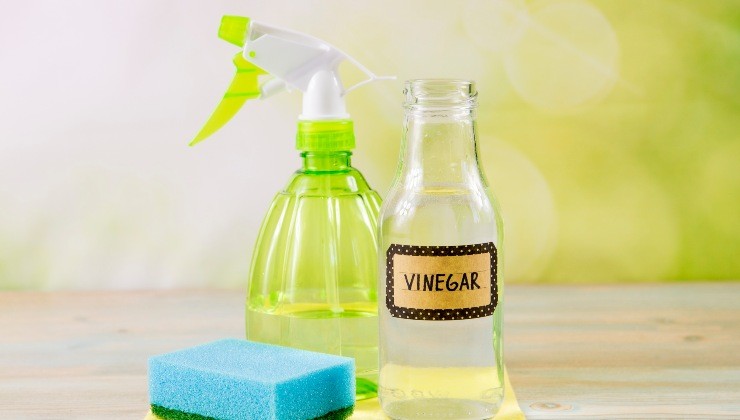 Jabón de vinagre y lavanda como insecticida