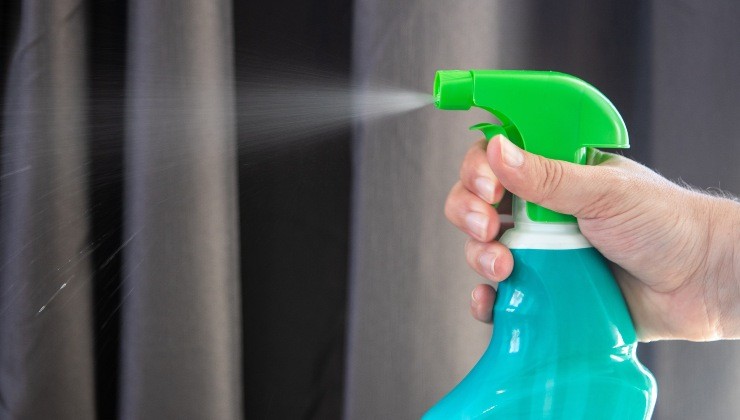 insecticida casero: rocíalo y los insectos desaparecerán