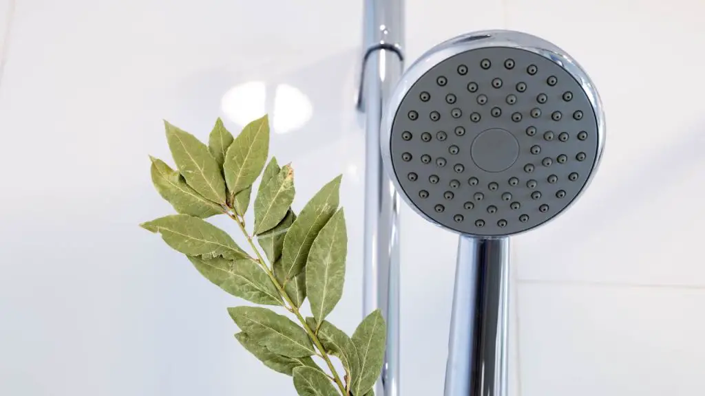 Coloca una ramita de laurel en la ducha, lo que sucede puede sorprenderte – Mis Consejos Jardinería