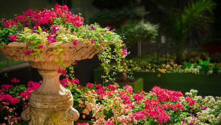 jardín - plantas venenosas
