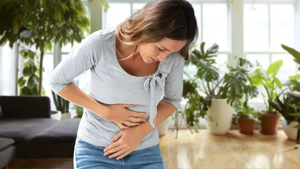 Hermosa pero muy peligrosa planta, esta causa infección en el hígado: muévela – Mis Consejos Jardinería