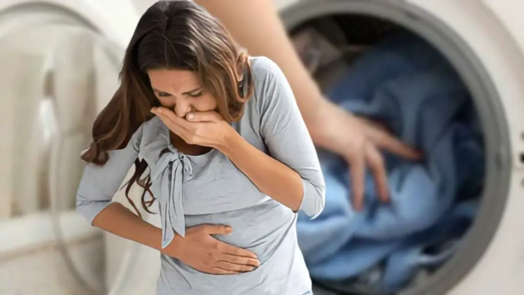 Lavadora, cuidado con el peligroso error: te arriesgas incluso a contraer Salmonella – Mis Consejos Jardinería