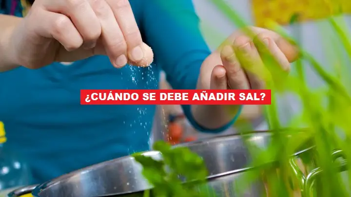 ¿Cuándo se agrega sal al cocinar? Muchos se equivocan: la respuesta de los chefs – Mis Consejos Jardinería