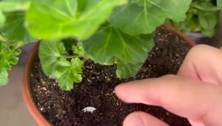 tableta de magnesio y potasio en el suelo