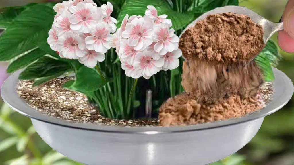 Este poderoso fertilizante natural llena todas las plantas con toneladas de flores – Mis Consejos Jardinería