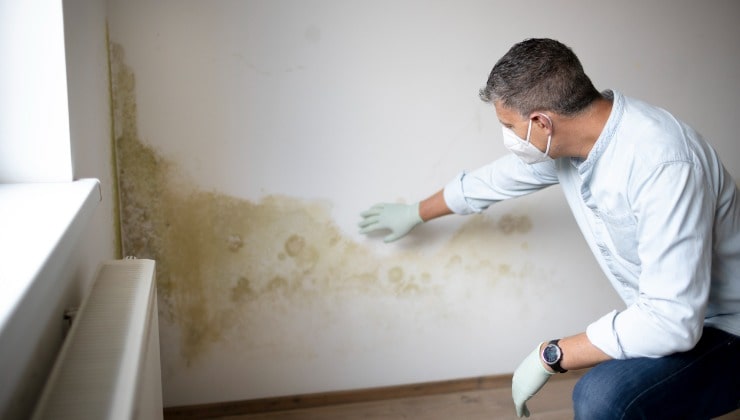 Hombre revisa manchas de salitre en la pared