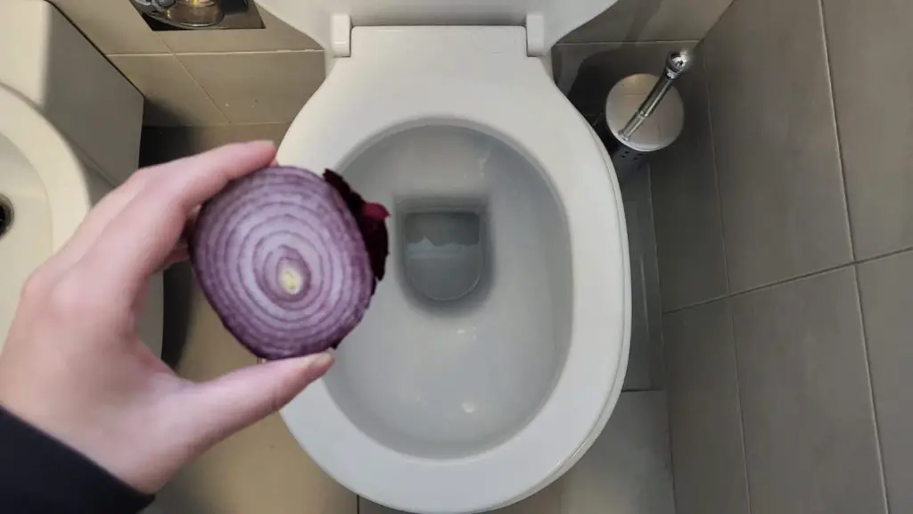 Inodoro, porque mucha gente tira una rodaja de cebolla por el desagüe: el motivo revelado – Mis Consejos Jardinería