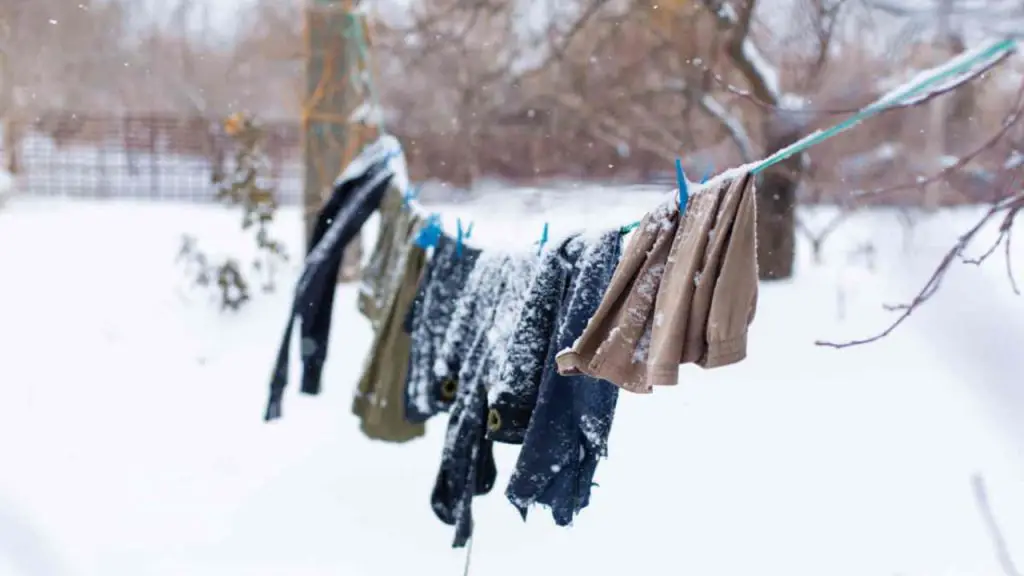 Cuelgue su ropa afuera incluso en invierno, la razón por la que no esperaría – Mis Consejos Jardinería